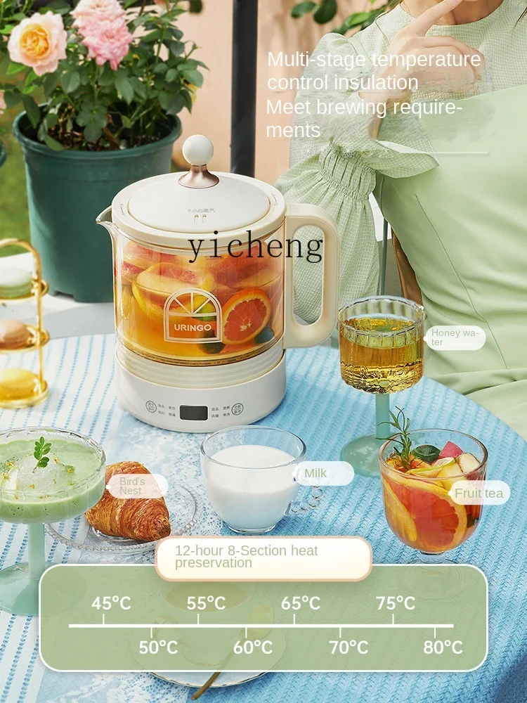 Bollitore per tè multifunzione - Health & Wellness Kuala Lumpur Reviews recensione e prezzo