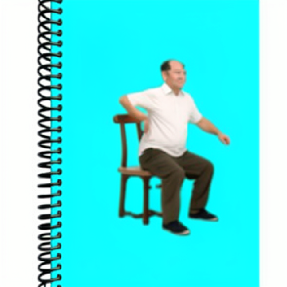Diario di Pratica del Tai Chi, - Health Wellness Journal recensione e prezzo